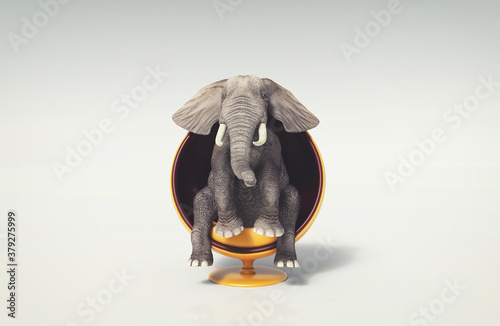 Photography Elephant furniture