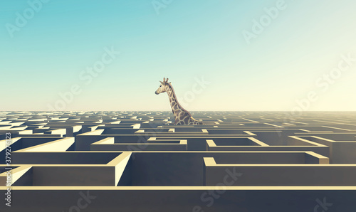 Solve the maze photo