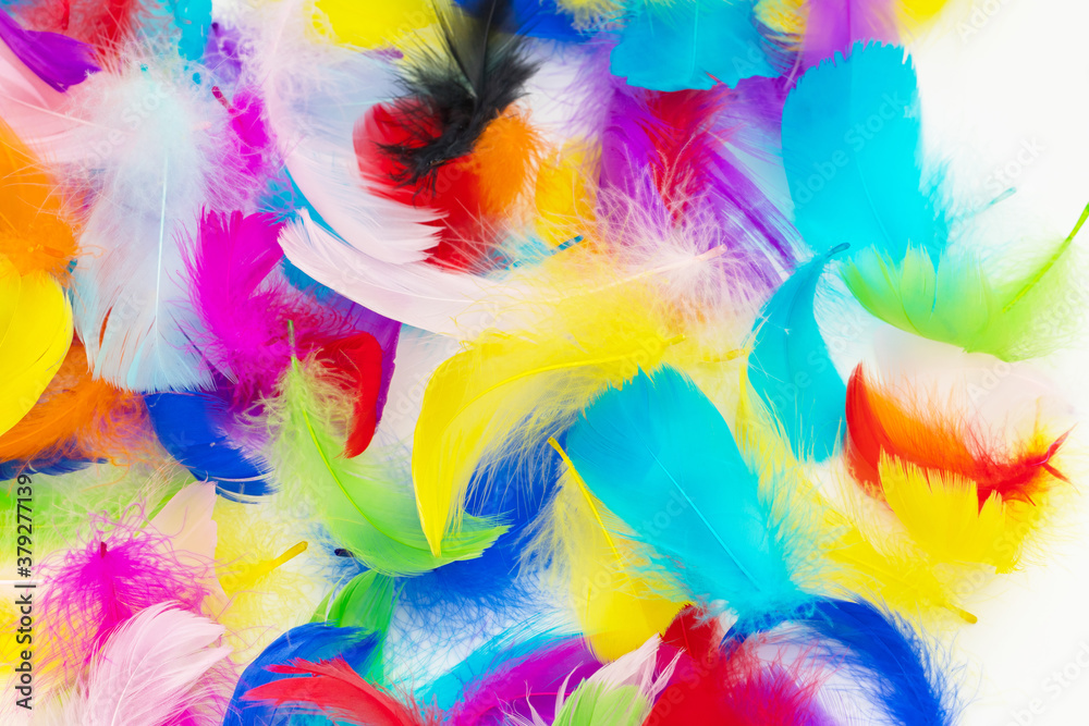 Many colorful feather texture Many colorful feather texture