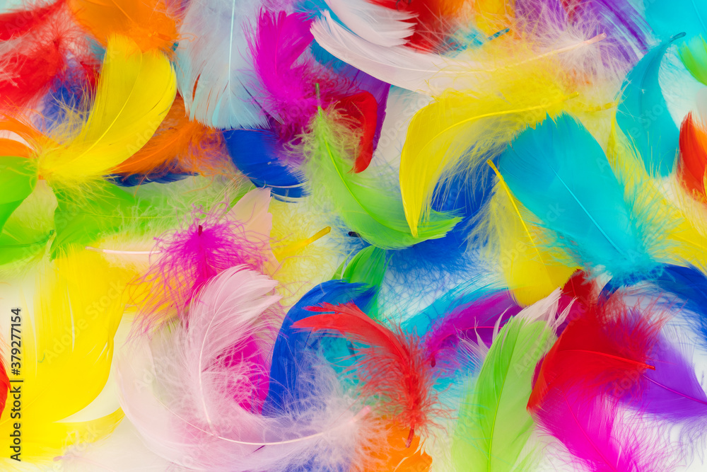 Many colorful feather texture Many colorful feather texture