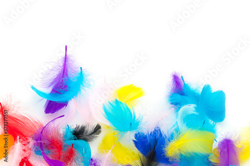 Many colored feathers © pandaclub23