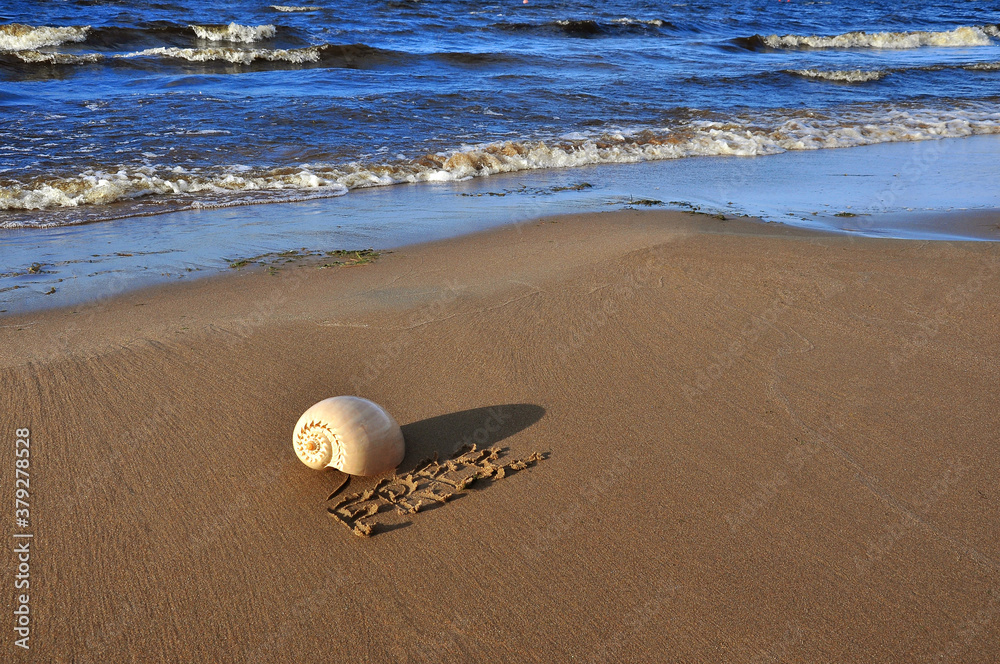 Obraz premium Seashell on the sea sand and lettering for free.