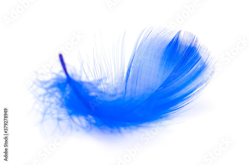 Blue feathers texture