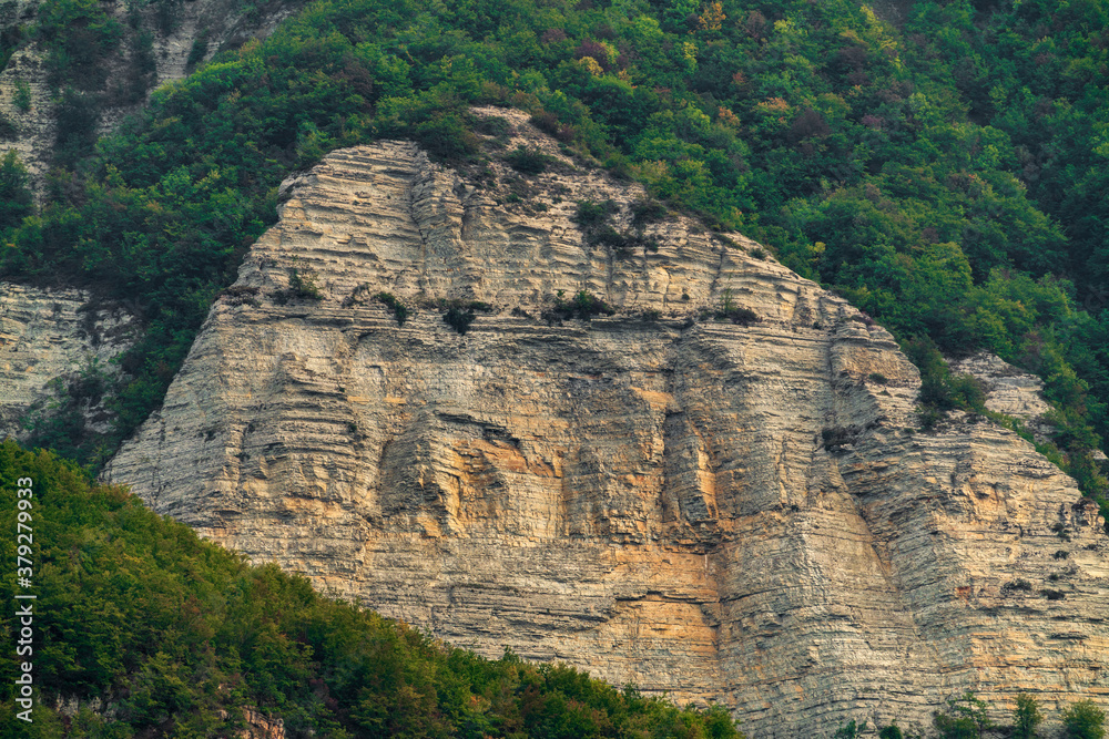 Big beautiful green rocky mountains with a dense forest