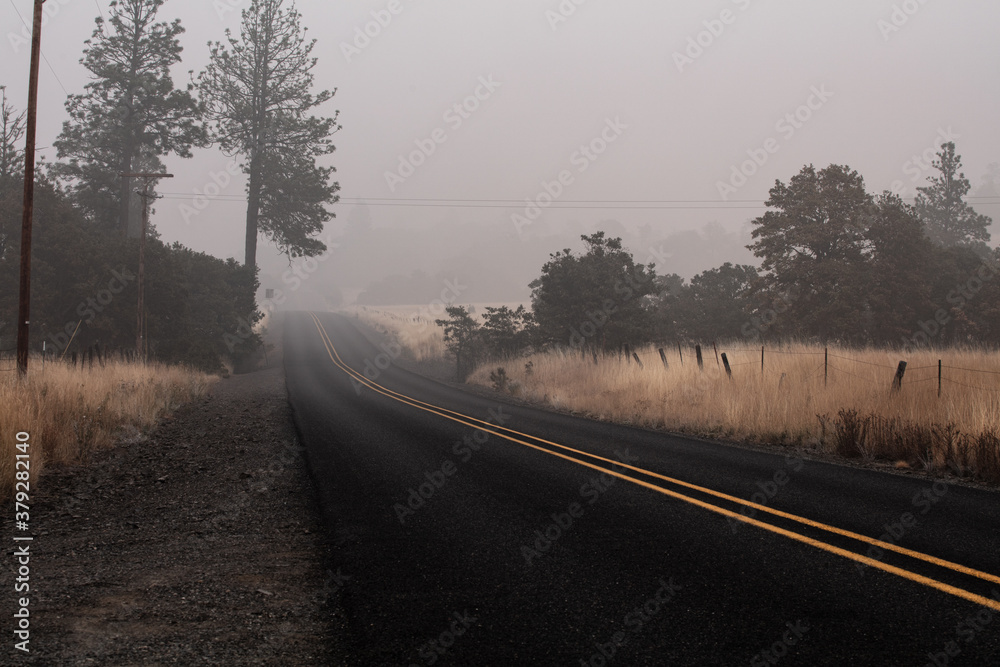 Fototapeta premium Heavy smoke on the Columbia Gorge