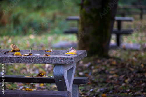 Leaves falling on picnic table start of Autumn