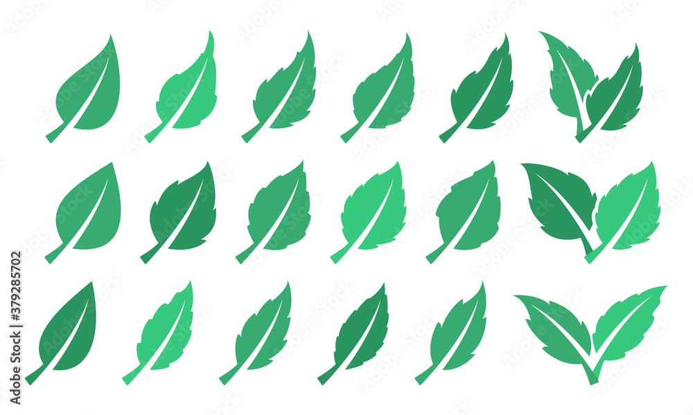 Green leaf set. Eco design Green leaf set. Eco design