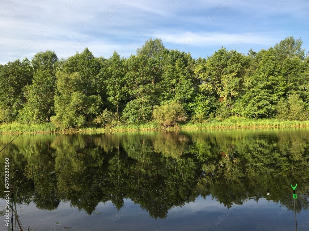 lake in the forest