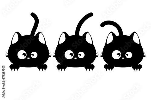 Fototapeta Naklejka Na Ścianę i Meble -  Three black cat faces