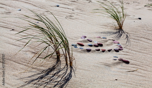 Sand and grass on the beach photo