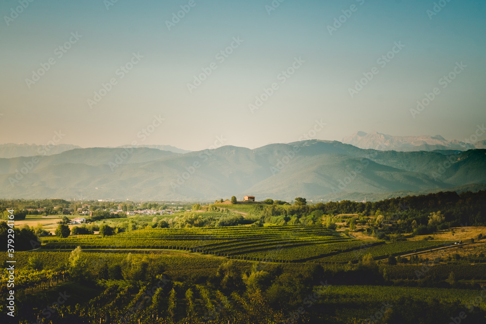 Fototapeta premium Piękny panoramiczny widok na wzgórza winnic w regionie Friuli Venezia Giulia, Collio, Colli Orientali.