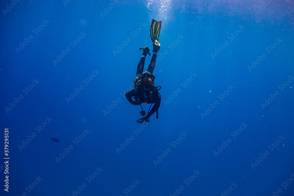 Scuba diver entering water in a vertical position Stock Photo Adobe Stock