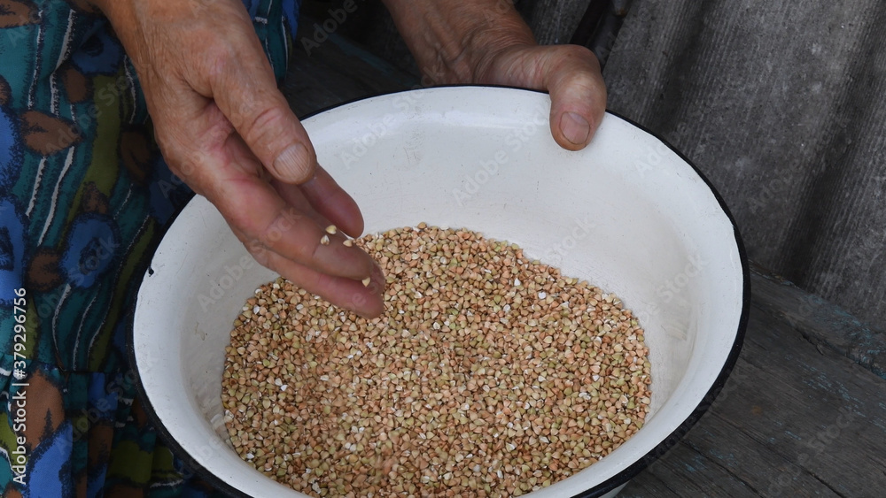 Wrinkled hand over bowl full of raw buckwheat groats Wrinkled hand over bowl full of raw buckwheat groats