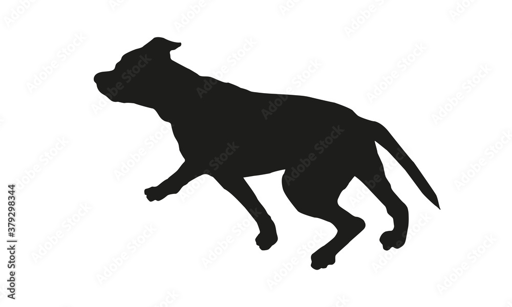 Black dog silhouette. Running american staffordshire terrier puppy. Isolated on a white background.