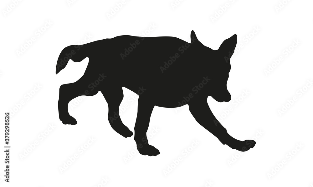 Black dog silhouette. Running german shepherd dog puppy. Isolated on a white background.