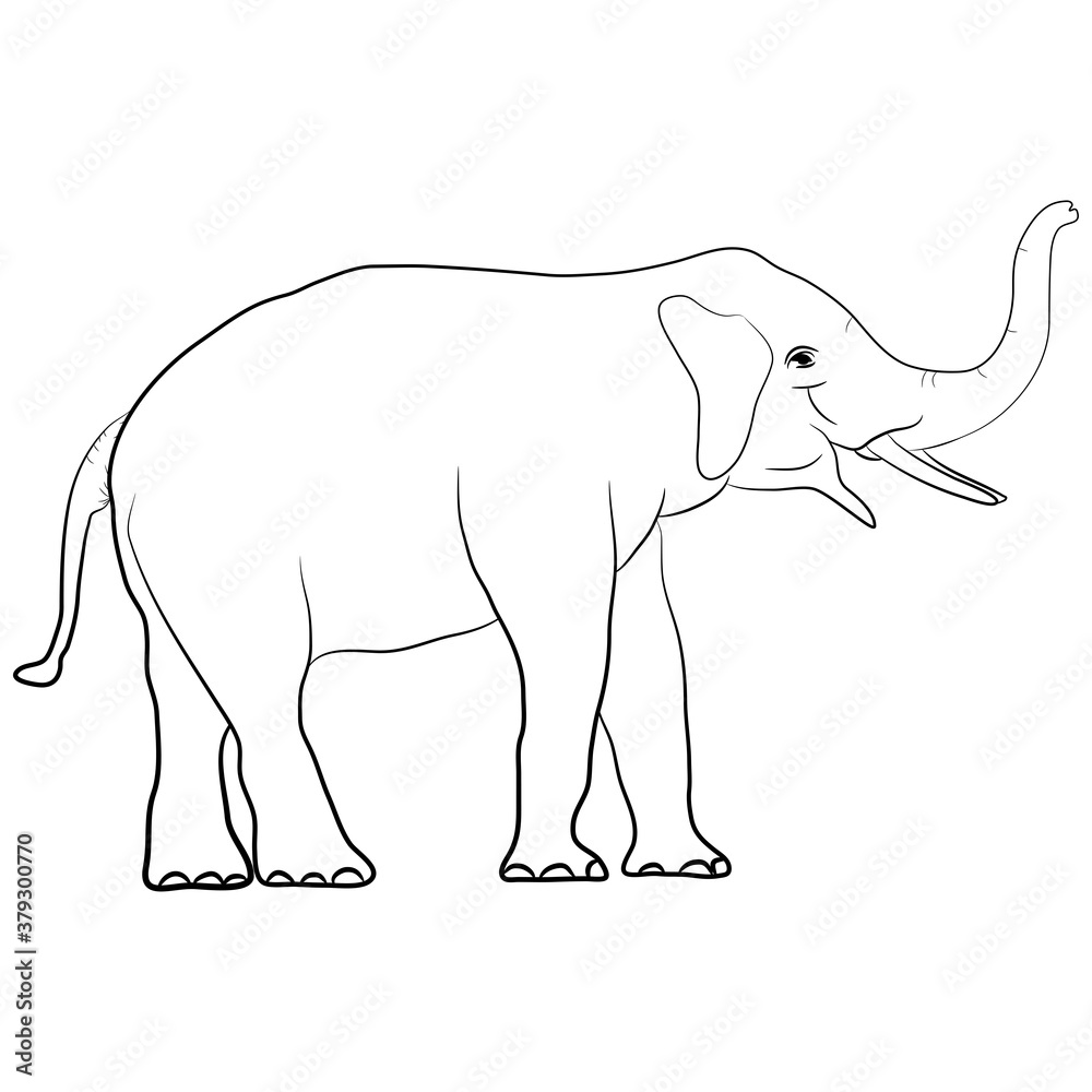 Fototapeta premium image white elephant Asia standing isolated on white background, graphics design vector Illustration