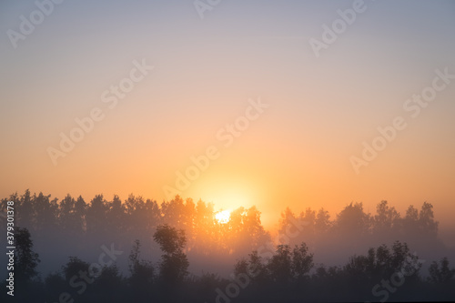 Fototapeta Naklejka Na Ścianę i Meble -  Orange sun rising behind the trees, a meadow covered with dense fog. The golden hour, misty morning. Beautiful misty sunrise landscape. Foggy morning with trees through the dense fog.