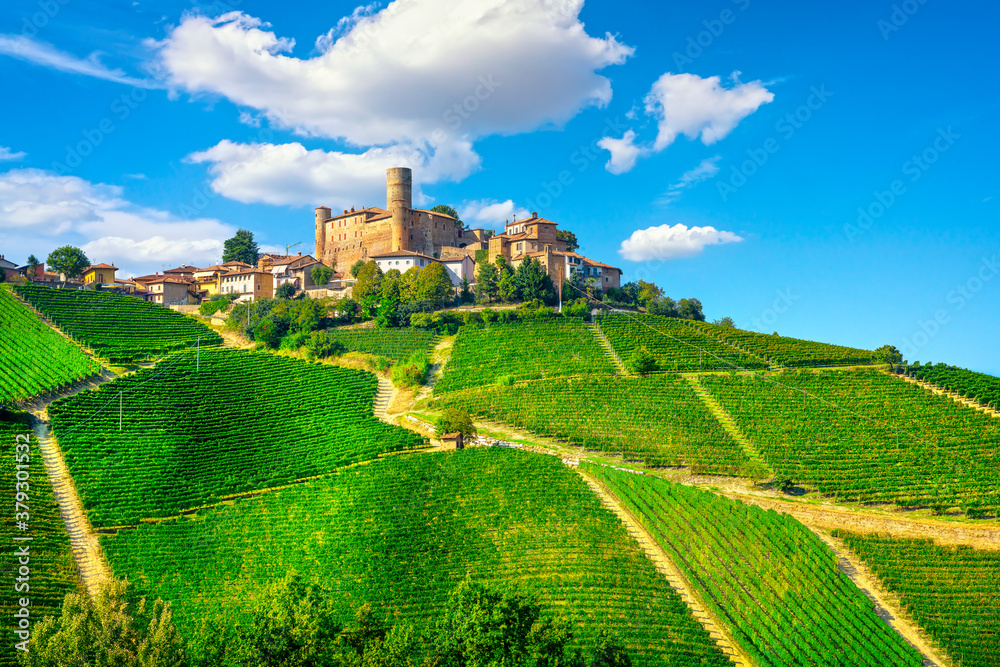 Langhe vineyards and Castiglione Falletto, Piedmont, Italy Europe.