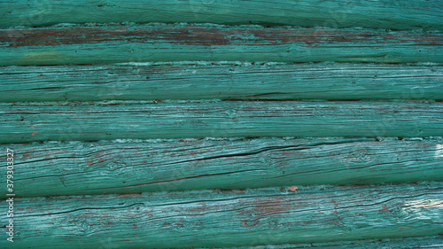 Old logs are painted in turquoise color. Cracked logs. Fragment of an old log house 