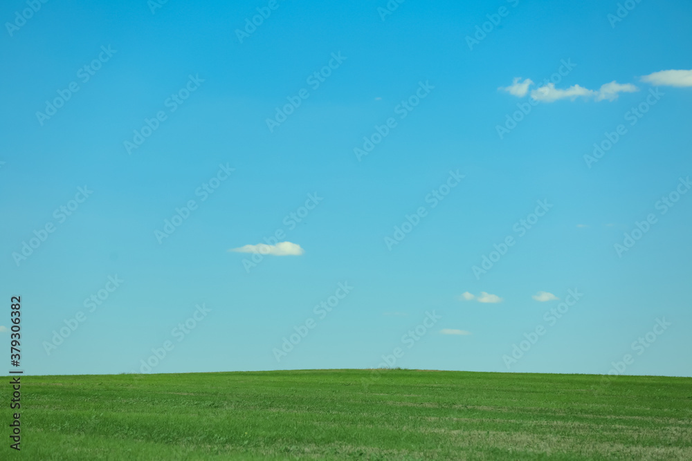 Beautiful landscape with green grass on sunny day Beautiful landscape with green grass on sunny day