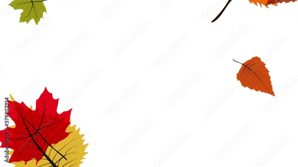 Autumn drawing background with copy space. Dead leaves falling. 2D animation. Looping footage 4k