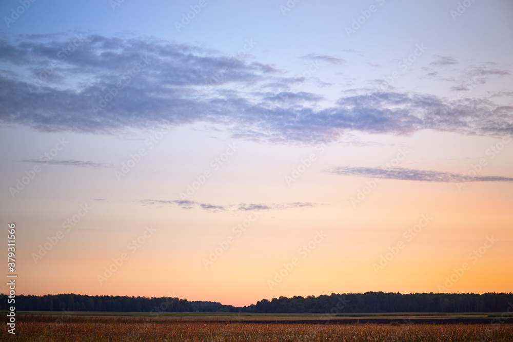 Early autumn dawn over an agricultural field