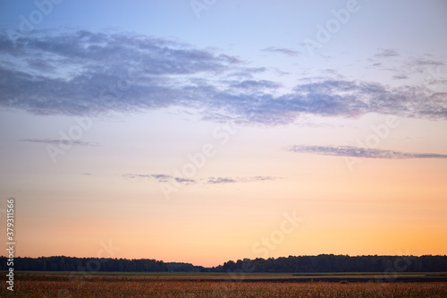 Early autumn dawn over an agricultural field