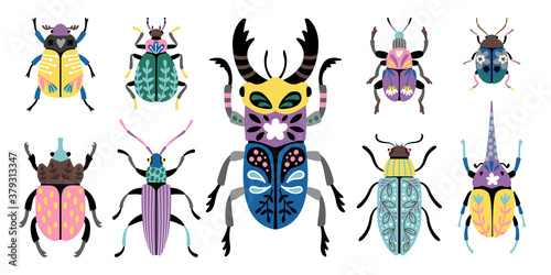 Colorful beetles. Cartoon macro image of cute small bugs, set of creature of entomology science, vector illustration of insects icons isolated on white background