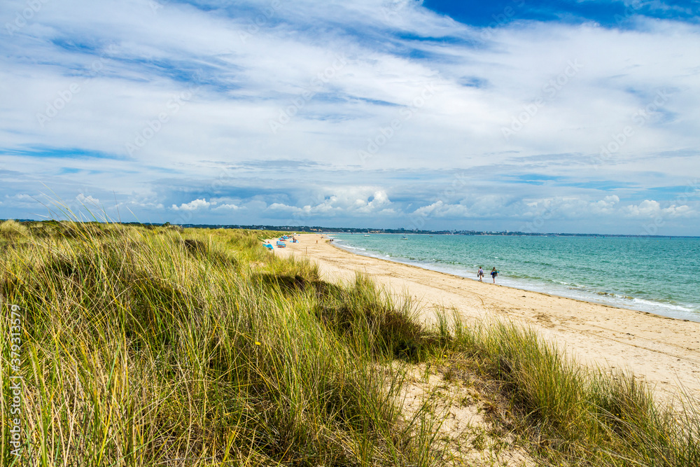 Summer in the sand dunes of Studland nudist beach Dorset south west England