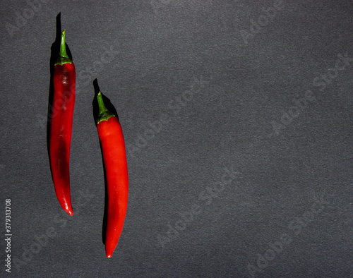 Two long red chillies on the black background. View from above.