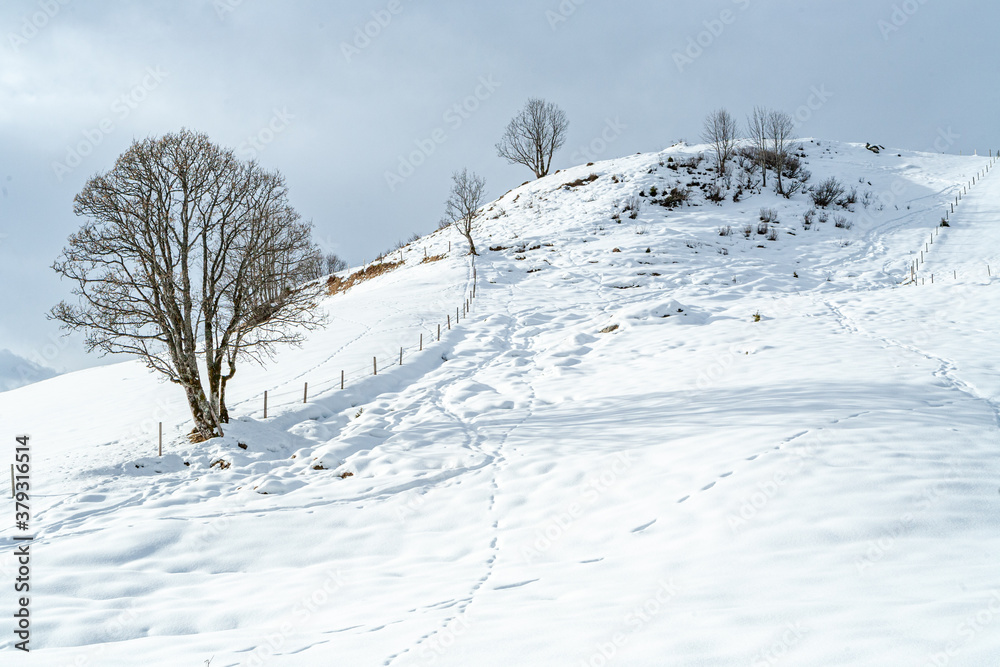 sonnige Winterlandschaft mit Spuren im Schnee in den Alpen