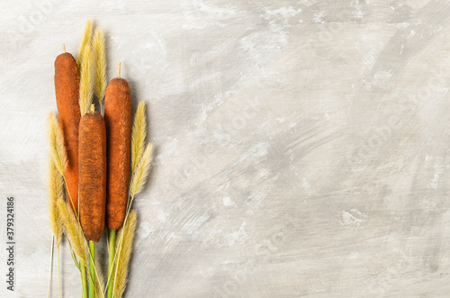 Autumn bouquet of reeds and dry ears of grass on a textured  background.