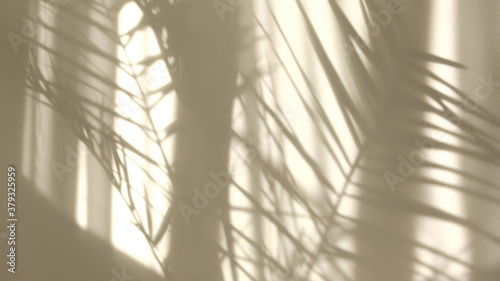 Morning sun lighting the room, shadow background overlays. Transparent shadow of tropical leaves. Abstract gray shadow background of natural leaves tree branch falling on white wall