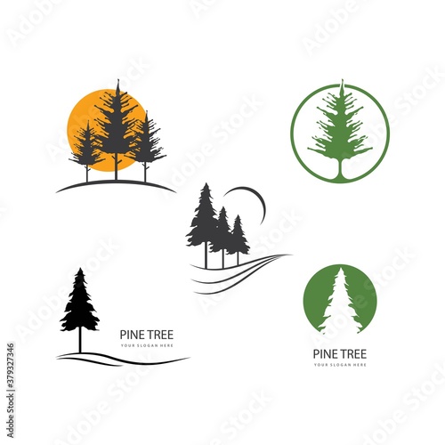 Pine tree