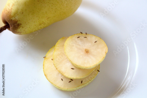 Fruchtfliegen an einer Birne