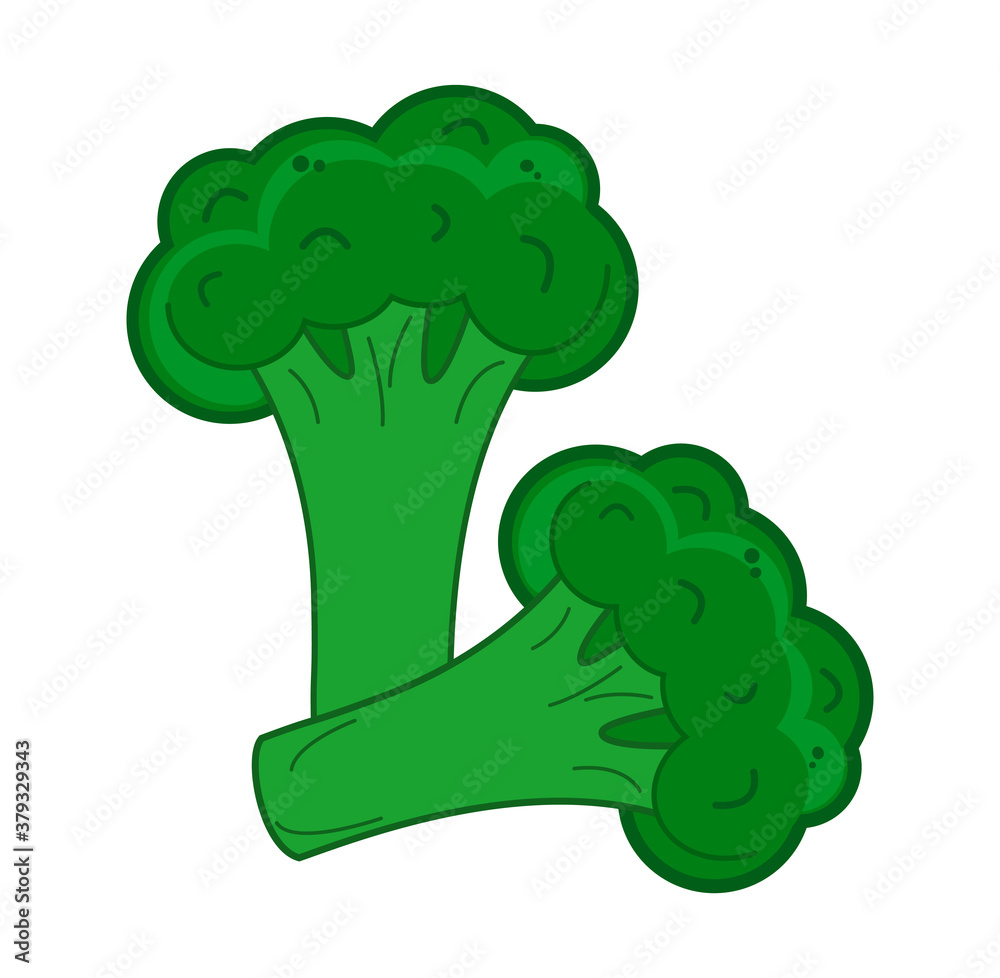 Broccoli green twigs. Vector isolated illustration on white background Broccoli green twigs. Vector isolated illustration on white background