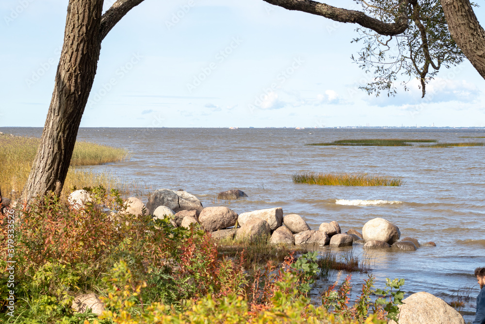 the gulf of finland