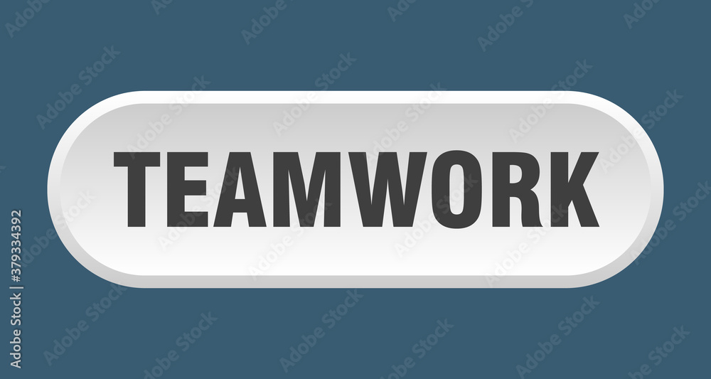 teamwork button. rounded sign on white background