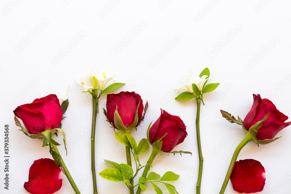 Fototapeta premium colorful red rose flowers arrangement flat lay postcard style on background white 