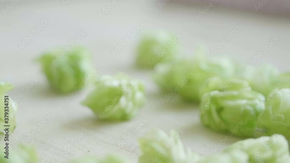 Taking hop cones from the wooden surface in 4k slow motion 60fps Taking hop cones from the wooden surface in 4k slow motion 60fps