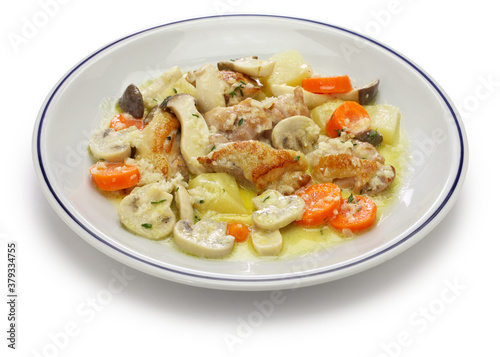 creamy chicken and mushroom fricassee, french home cooking isolated on white background