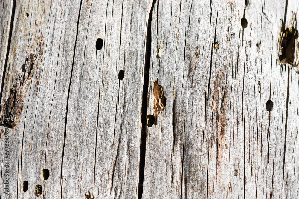 old wood texture old wood texture