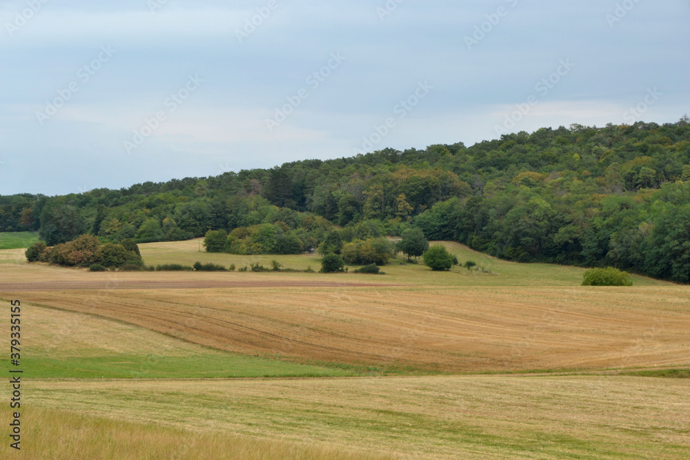 Campagne de Haute-Saône, paysage agricole, Les Pelouses des Monts de Gy, France