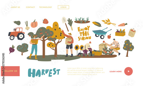 Farmer Characters Work on Garden or Orchard Harvesting Crop Landing Page Template. Gardeners Collect Fruit and Vegetable