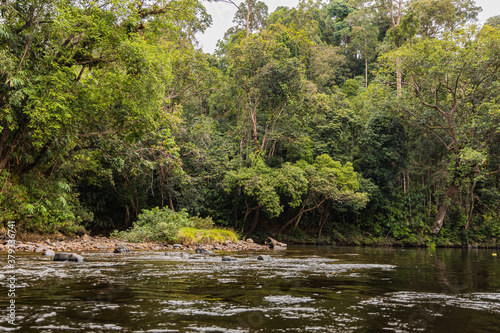 Taman Negara National Park and boottrip on the Tembeling river