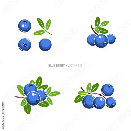 Blueberry set vector illustration. Blue berries with green leaves isolated on white background.