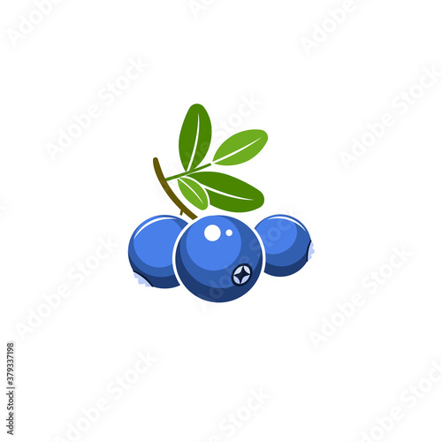 Blueberry vector illustration. Blue berries with green leaves isolated on white background.