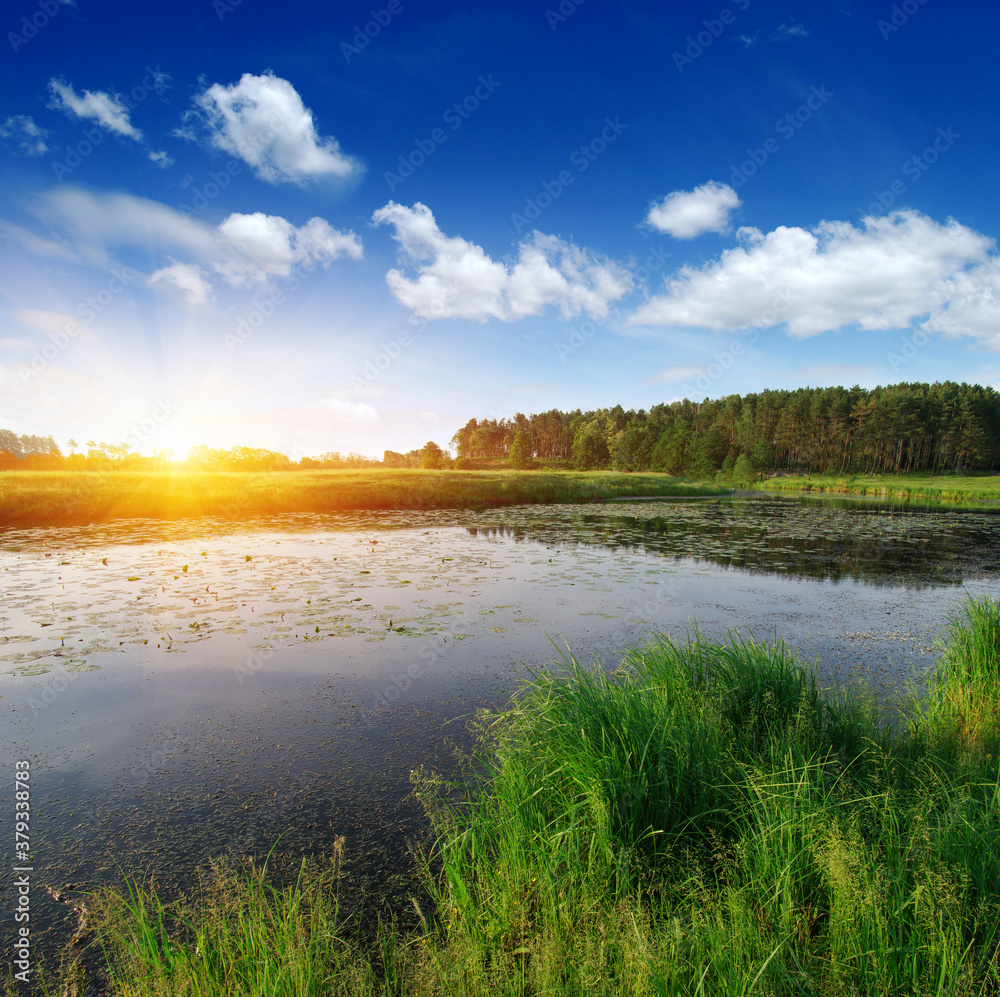Fototapeta premium landscape with a river
