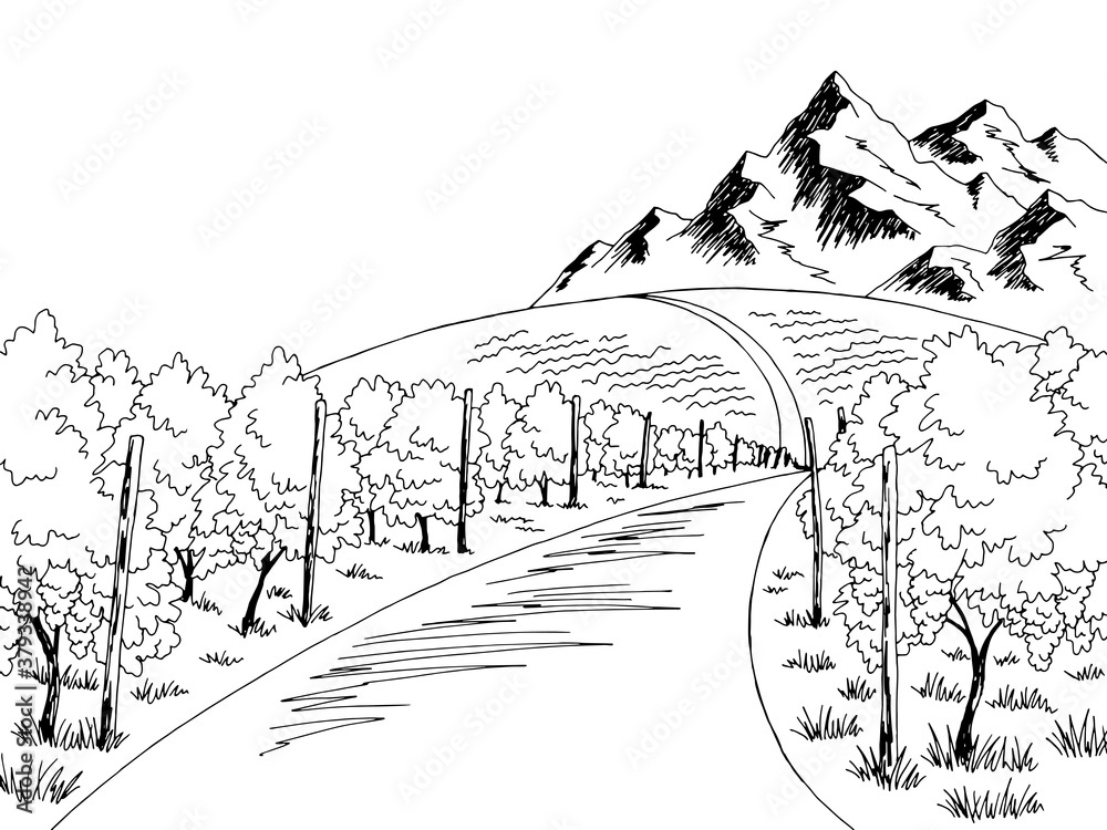 Vineyard graphic black white landscape sketch illustration vector