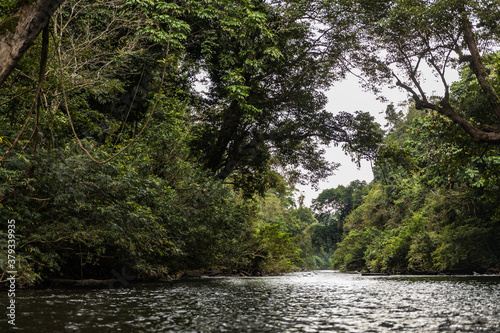 Taman Negara National Park and boottrip on the Tembeling river